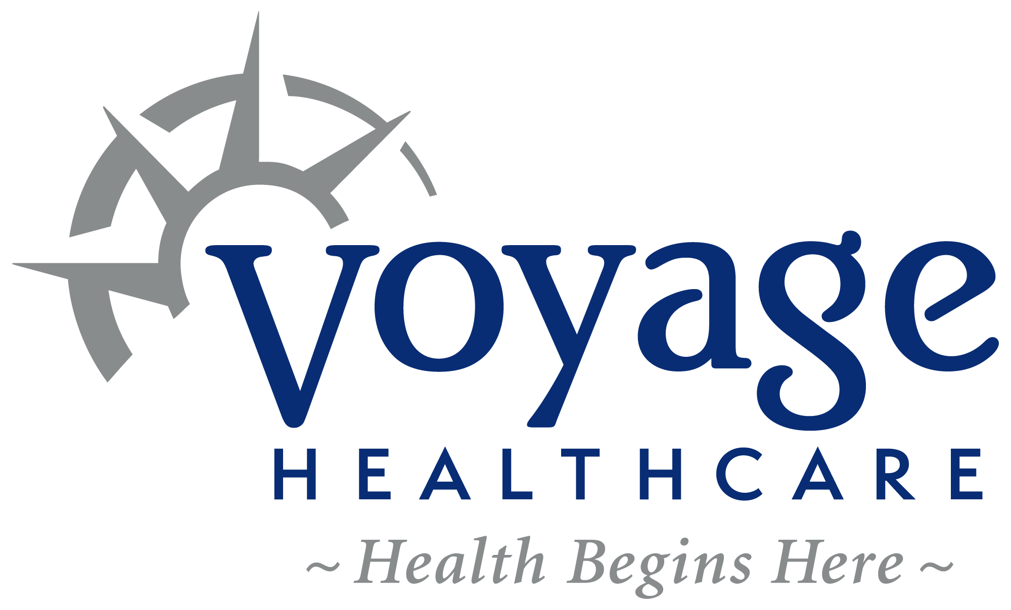 Voyage Healthcare Smart Chart