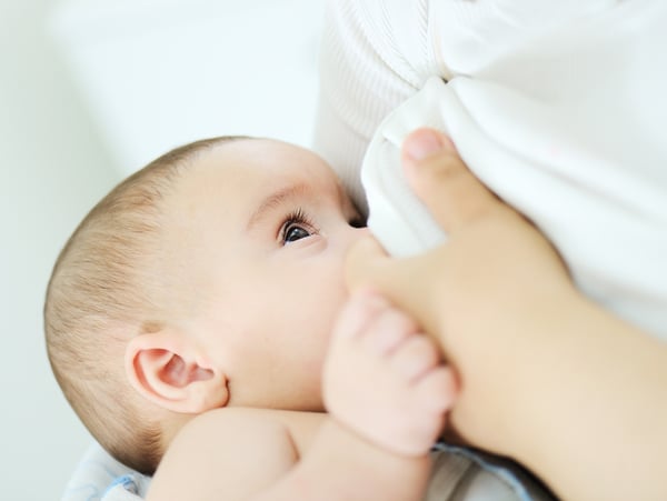 Baby feeds on mothers breasts milk